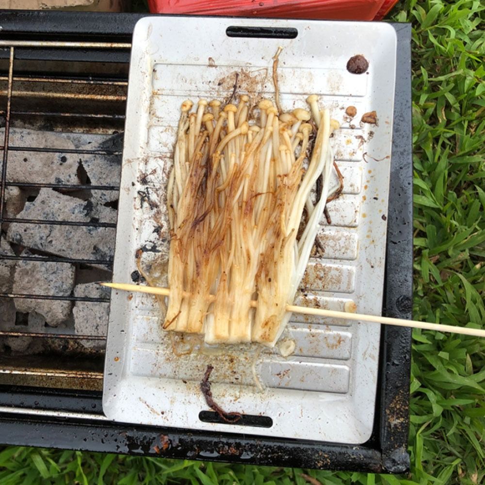 Duurzame titanium campinggrill - Camping Cooking Lightweight recensie en prijs